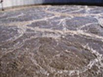 Trition_Waste_Water_Treatment Waste Water Treatment