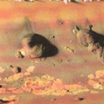 trition_pitting_corrosion